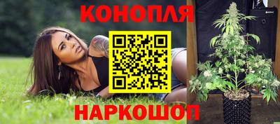 spice Обнинск